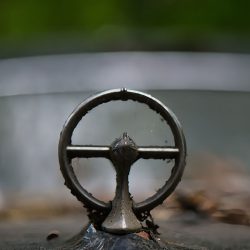 autosculpture17