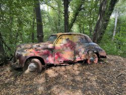 autosculpture36